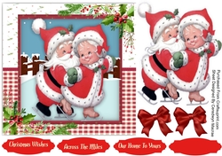 Mrs Clause Skating Lessons