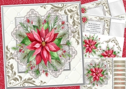 Beautiful Poinsettia on Lace