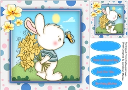 Daffodil Bunny