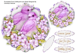 Beautiful Birds and Blossom