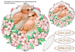 Beautiful Birds and Blossom
