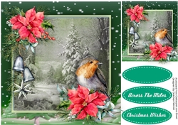 Robin and Poinsettias 2