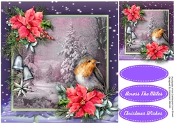 Robin and Poinsettias 3