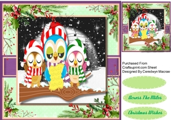 The Singing Owls