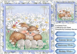 Hedgehogs Cuddles