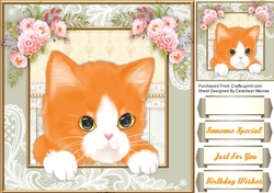 Gorgeous Ginger Tome Kitty