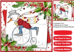 Bicycle Snowman