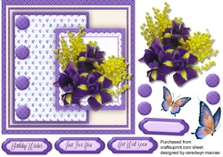 Posy Of Irises and Mimosa 3