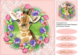 Giraffe in a Flower Frame 