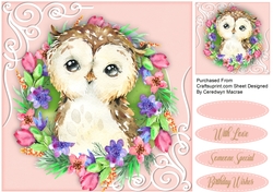 Owl in a Flower Frame 