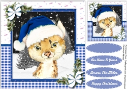 Gorgeous Christmas Bobcat
