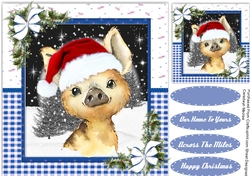 Gorgeous Christmas Wild Pig