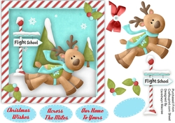 Reindeers Flight School