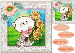 Beautiful Daisy Kitten