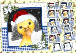 10, Card Fronts , Gorgeous Christmas Animals +2 Inserts