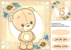 Cute Teddy Pink 