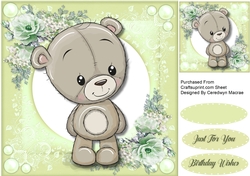 Cute Teddy Brown