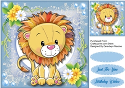 Beautiful Cute Lion