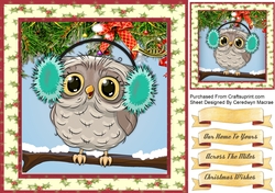 Gorgeous Owl in Ear Muffs