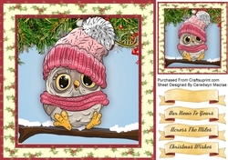 Gorgeous Owl in a Pink Hat