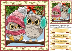 Gorgeous Owl Pals