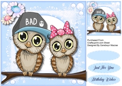 Owls True Love 
