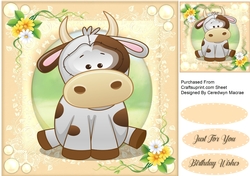 Gorgeous Bella the Cow 