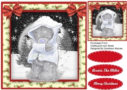 Teds Wrapped Up