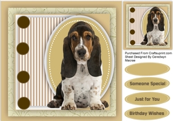 Beautiful Bassett Hound