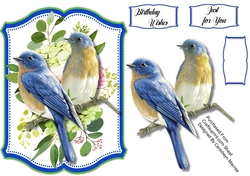 Beautiful Blue Birds and Hydrangeas