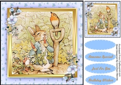 Peter Rabbit and The ROBIN