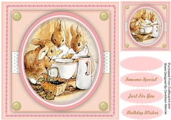 Peter Rabbits Wash Time