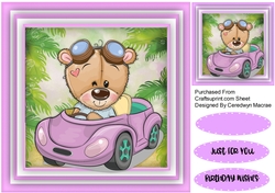 Billys Lilac Car