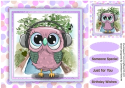 Owls  Musical Head Phones 