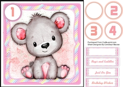 Gorgeous Little Pink Bear
