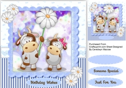 Cool Daisy Cows