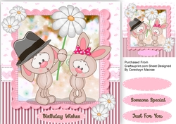 Cool Daisy Rabbits