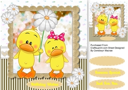 Duckys Daisy