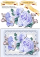 A5 , Gorgeous Blue Roses