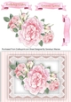A5 , Gorgeous Pink Roses