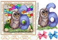 Cute Birthday Owl 6