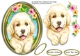 Gorgeous Pup in a Gold Frame 2