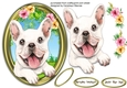 Gorgeous Pup in a Gold Frame 5