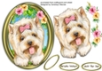Gorgeous Pup in a Gold Frame 6