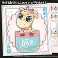 8x8 Mini Kit, Love in a Pocket 1