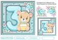 Little Bears 3rd Birthday , Boy