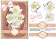 Beautiful White Roses on a Pink Background