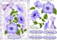 Lovely Lilac Petunia's