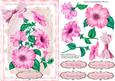Lovely Pink Petunia's