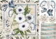 Lovely Cream Gerbera's